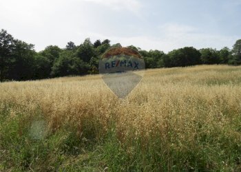 TERRENO - Rustico VIA DEL SEMINARIO
 
SNC, Roccastrada - foto 25