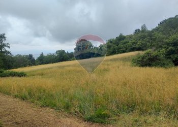 TERRENO - Rustico VIA DEL SEMINARIO
 
SNC, Roccastrada - foto 26