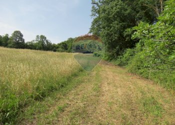 STRADA DI ACCESSO - Rustico VIA DEL SEMINARIO
 
SNC, Roccastrada - foto 27