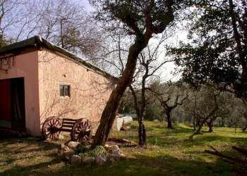 Foto 34 - Casa semi indipendente VIA SAVIGNANO, Cartoceto - foto 34