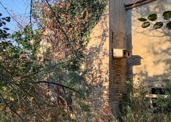 Foto 18 - Rustico via Villagrande loc. Pianosa, Mombaroccio - foto 18