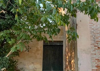 Foto 19 - Rustico via Villagrande loc. Pianosa, Mombaroccio - foto 19