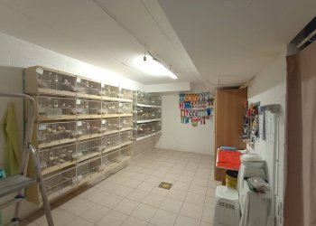 Foto 19 - Trilocale XXX, Fano - foto 19