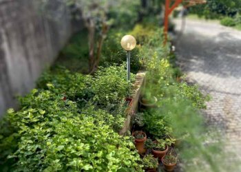 Foto 9 - Quadrilocale Strada Borgo Santa Lucia, Pesaro - foto 9