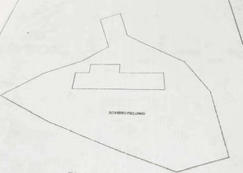 Foto 10 - Rustico strada Flaminia, Fano - foto 10