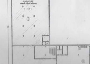 Foto 2 - Locale Commerciale via Basento, Pesaro - foto 2