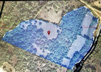 Foto 1 - Agricultural land Luogosanto - photo 1