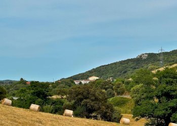 Foto 11 - Agricultural land Luogosanto - photo 11