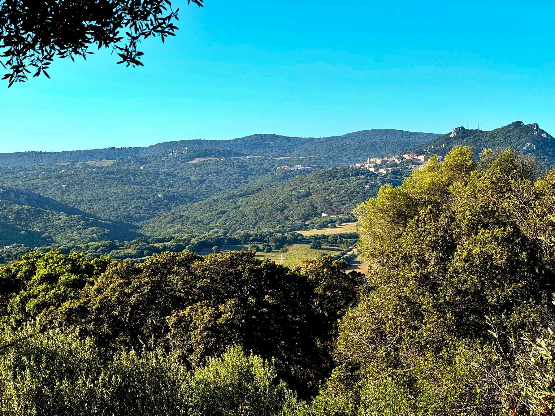 Foto 2 - Casa semi indipendente Località Stazzo Ziu Malcu Austinu, Luogosanto - foto 2