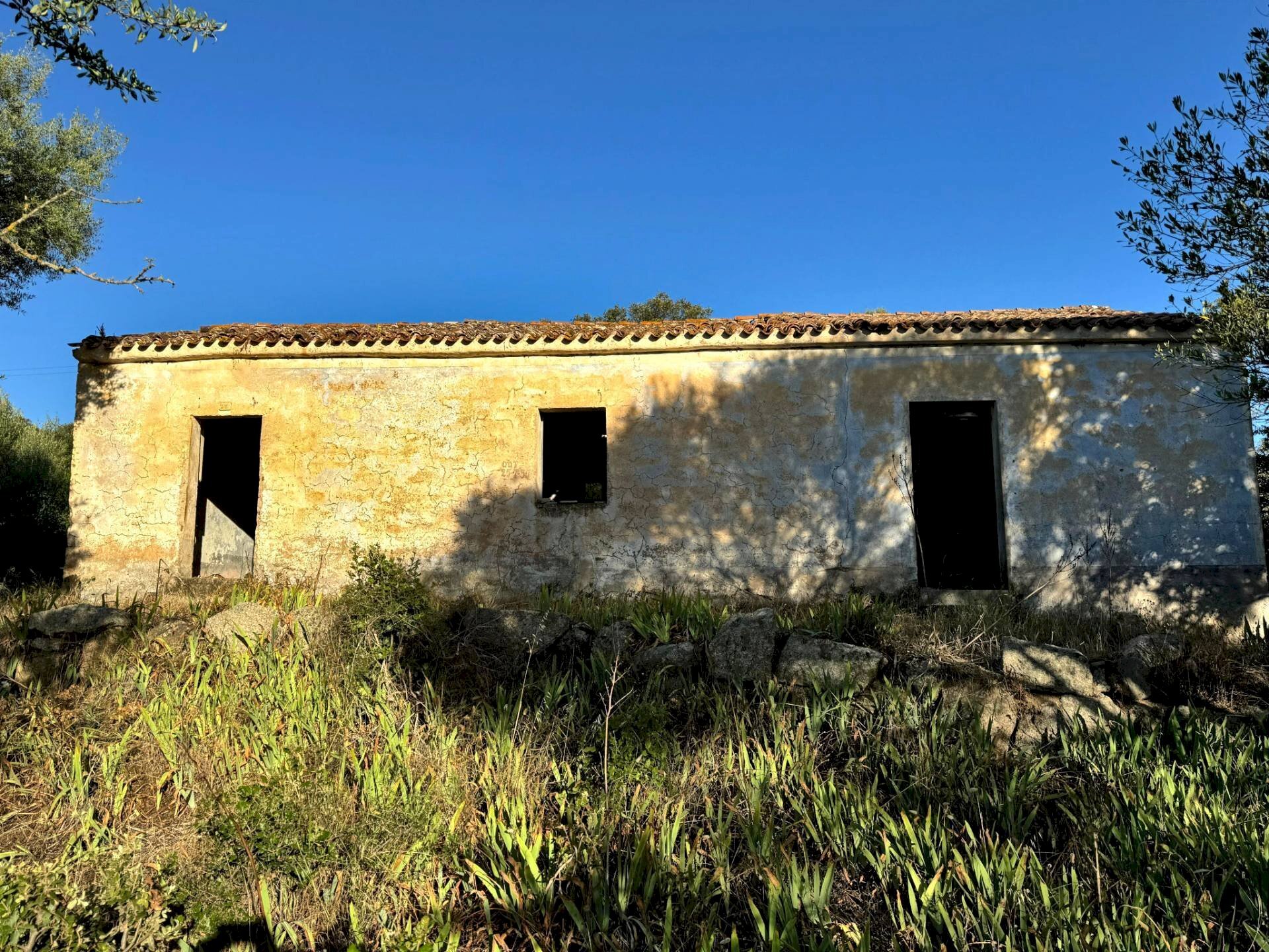 Foto 1 - Casa semi indipendente Località Stazzo Ziu Malcu Austinu, Luogosanto - foto 1