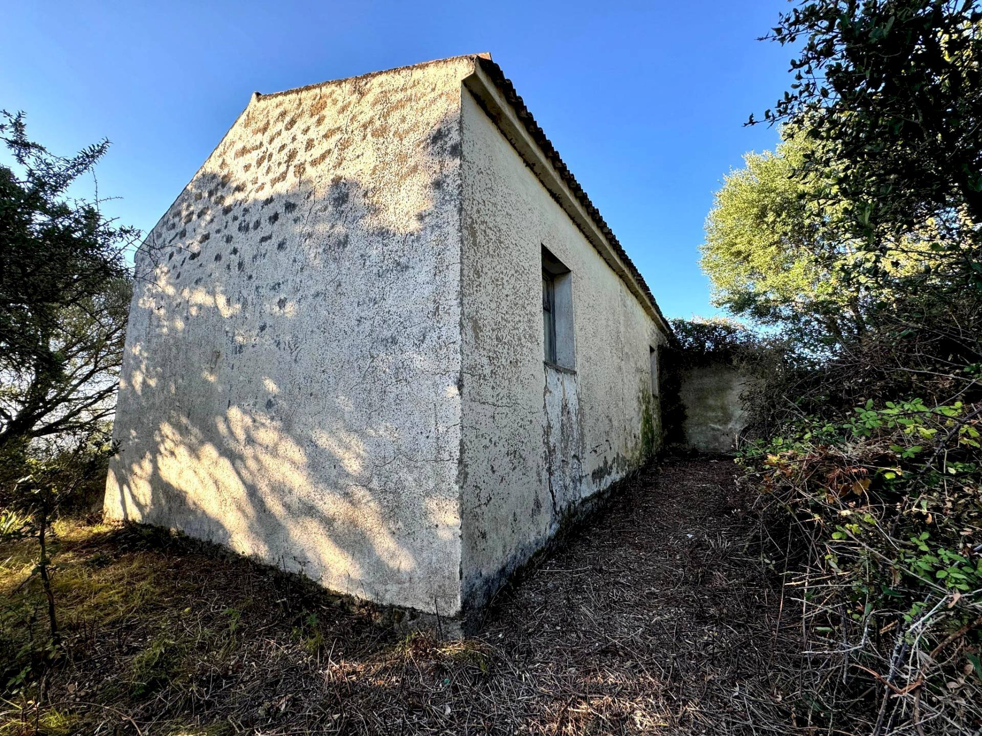 Foto 4 - Casa semi indipendente Località Stazzo Ziu Malcu Austinu, Luogosanto - foto 3