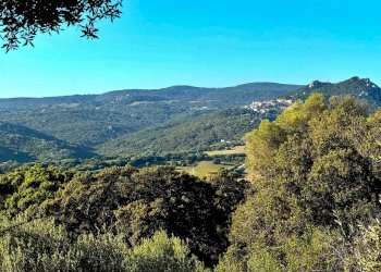 Foto 2 - Casa semi indipendente Località Stazzo Ziu Malcu Austinu, Luogosanto - foto 2