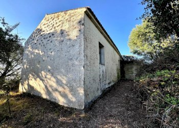 Foto 4 - Casa semi indipendente Località Stazzo Ziu Malcu Austinu, Luogosanto - foto 3