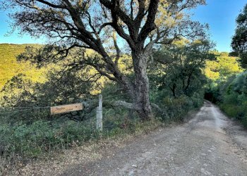 Foto 7 - Casa semi indipendente Località Stazzo Ziu Malcu Austinu, Luogosanto - foto 6