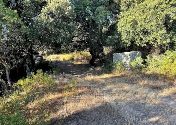 Foto 10 - Casa semi indipendente Località Stazzo Ziu Malcu Austinu, Luogosanto - foto 8