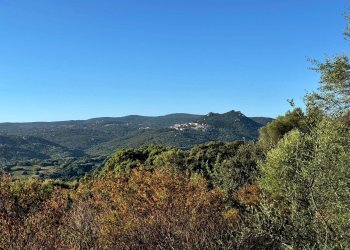 Foto 11 - Casa semi indipendente Località Stazzo Ziu Malcu Austinu, Luogosanto - foto 9