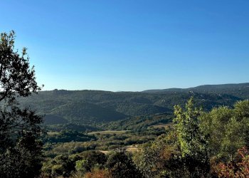 Foto 12 - Casa semi indipendente Località Stazzo Ziu Malcu Austinu, Luogosanto - foto 10