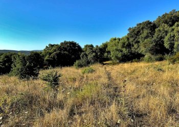 Foto 15 - Casa semi indipendente Località Stazzo Ziu Malcu Austinu, Luogosanto - foto 13