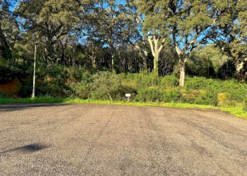 Foto 1 - Terreno edificabile CAPRERA
20, Luogosanto - foto 1