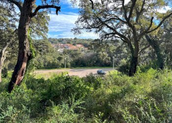 Foto 4 - Terreno edificabile CAPRERA
20, Luogosanto - foto 4