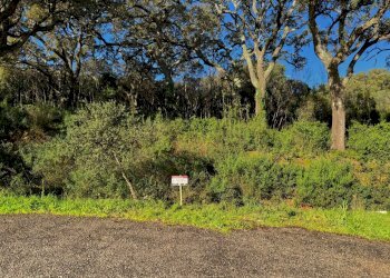 Foto 9 - Terreno edificabile CAPRERA
20, Luogosanto - foto 9