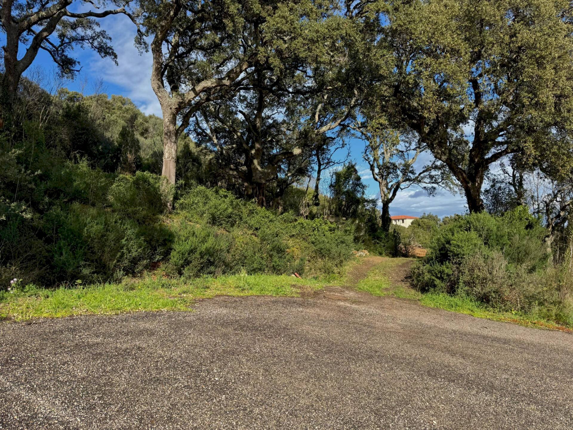 Foto 1 - Terreno edificabile Luogosanto - foto 1