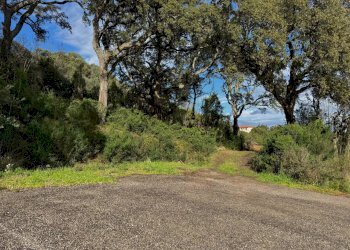 Foto 1 - Terreno edificabile Luogosanto - foto 1