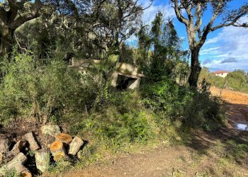 Foto 4 - Terreno edificabile Luogosanto - foto 4