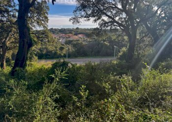 Foto 10 - Terreno edificabile VIA GARIBALDI N 19, Luogosanto - foto 10