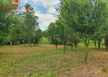 Foto 7 - Casa indipendente gorizia
 
51, Farra d'Isonzo - foto 7