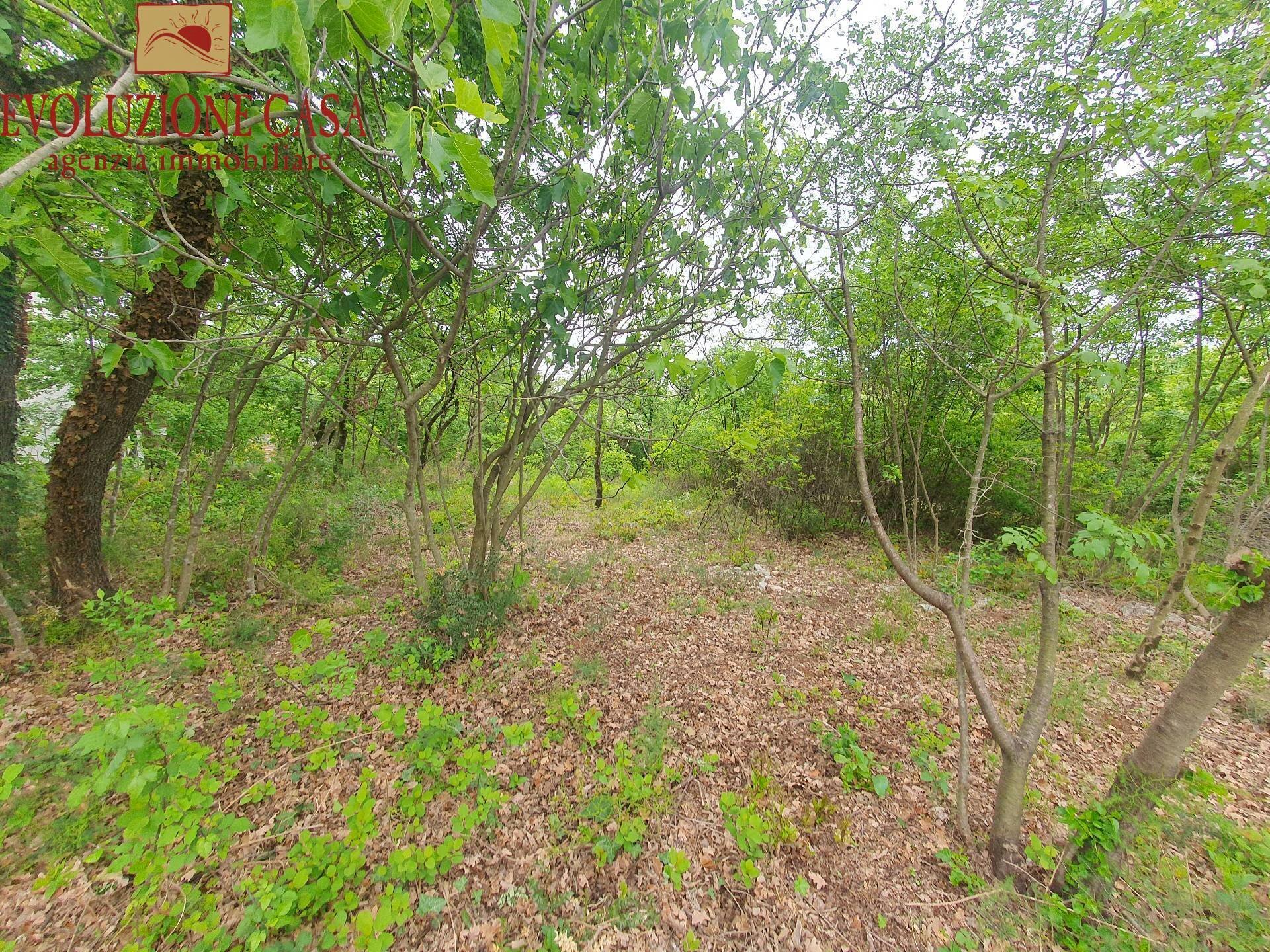 Foto 2 - Terreno edificabile androna campolongo, Sagrado - foto 2