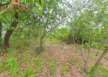 Foto 2 - Terreno edificabile androna campolongo, Sagrado - foto 2