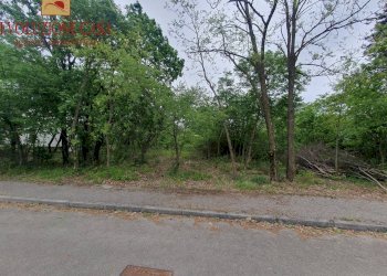 Foto 4 - Terreno edificabile androna campolongo, Sagrado - foto 4