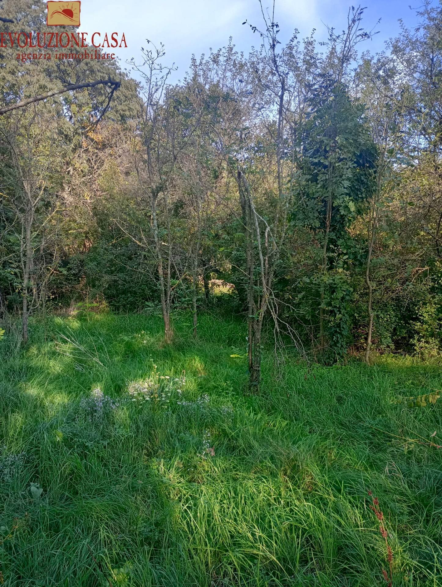 Foto 2 - Terreno edificabile Duino-Aurisina - foto 2