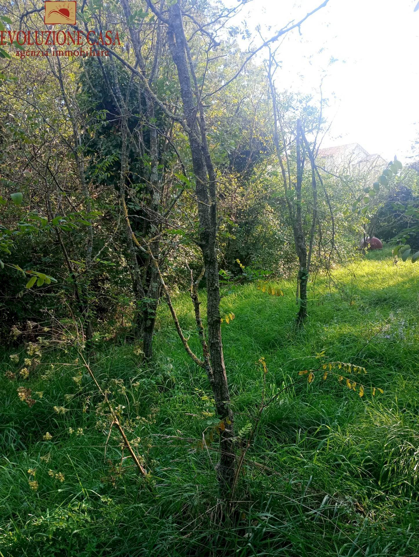 Foto 3 - Terreno edificabile Duino-Aurisina - foto 3