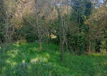 Foto 2 - Terreno edificabile Duino-Aurisina - foto 2