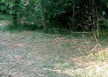 Foto 5 - Terreno edificabile Duino-Aurisina - foto 5