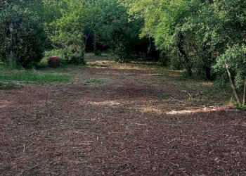 Foto 1 - Building land Duino-Aurisina - photo 1