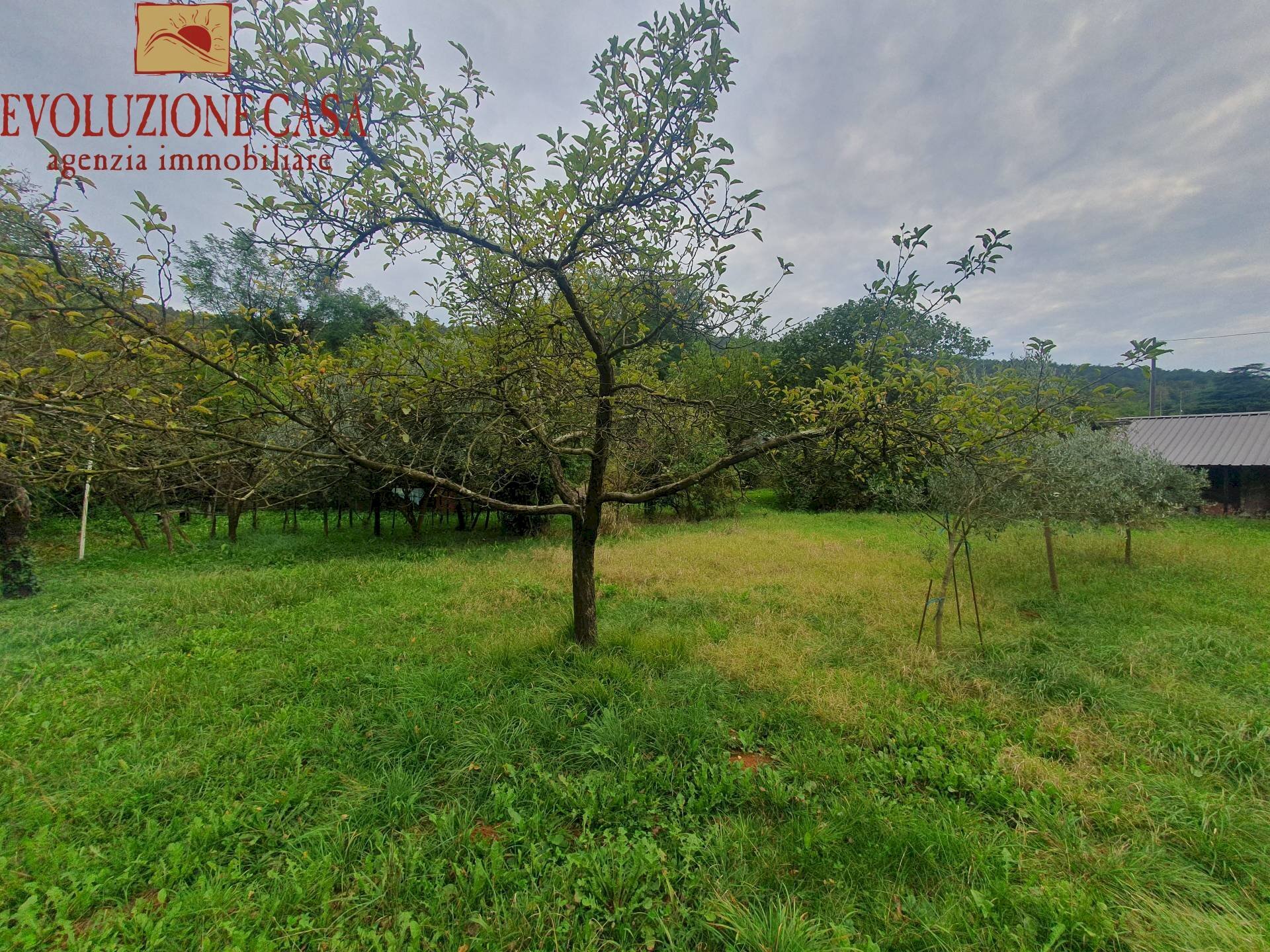 Foto 3 - Casa indipendente manzoni
 
51, Sagrado - foto 3