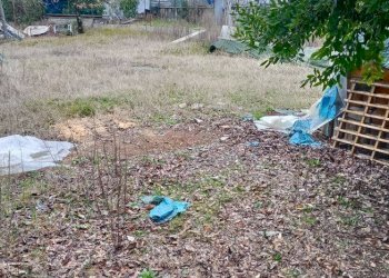 Foto 5 - Terreno edificabile Doberdò del Lago - foto 5