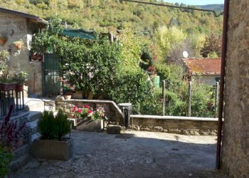 Foto 15 - Trilocale LOC.PAPIANO, Pratovecchio Stia - foto 15