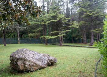 Foto 12 - Villa LA RIMESSA
 
59, Chiusi della Verna - foto 9