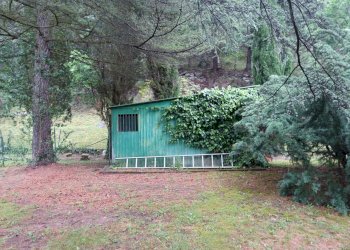 Foto 17 - Villa LA RIMESSA
 
59, Chiusi della Verna - foto 14