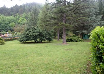 Foto 18 - Villa LA RIMESSA
 
59, Chiusi della Verna - foto 15