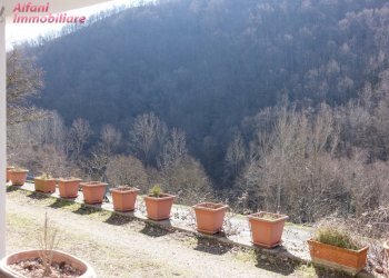 Foto 22 - Villa ss 310, Pratovecchio Stia - foto 22