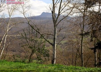 Foto 24 - Trilocale Case Sparse Querceto
69/A, Bibbiena - foto 24