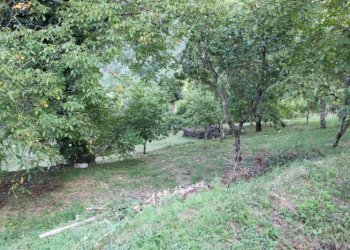 Foto 4 - Casa semi indipendente CETICA VIA BORGO PIANO, Castel San Niccolò - foto 4