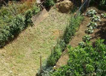 Foto 19 - Bilocale Castel San Niccolò - foto 19