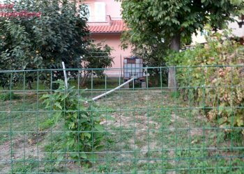 Foto 19 - Quadrilocale Via A. Bocci
 
1, Bibbiena - foto 19