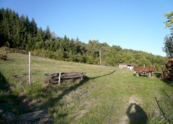 Foto 4 - Casa semi indipendente Poppi - foto 4